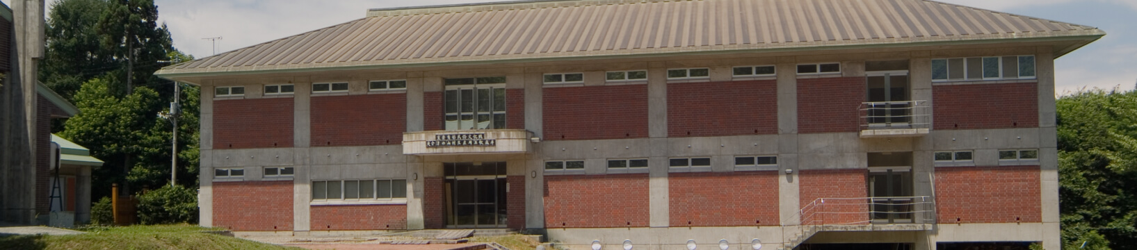 自然の中で感性を豊かにする体験を