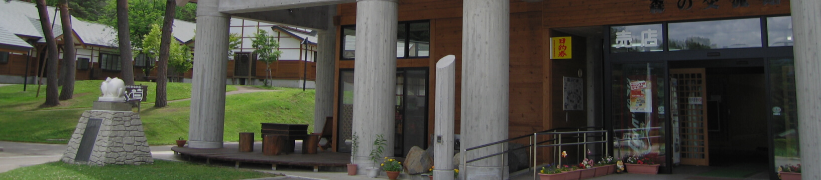 自然の中で感性を豊かにする体験を