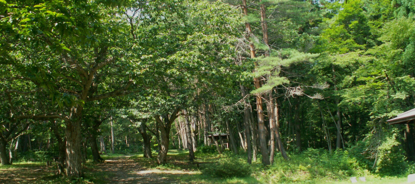 自然の中で感性を豊かにする体験を