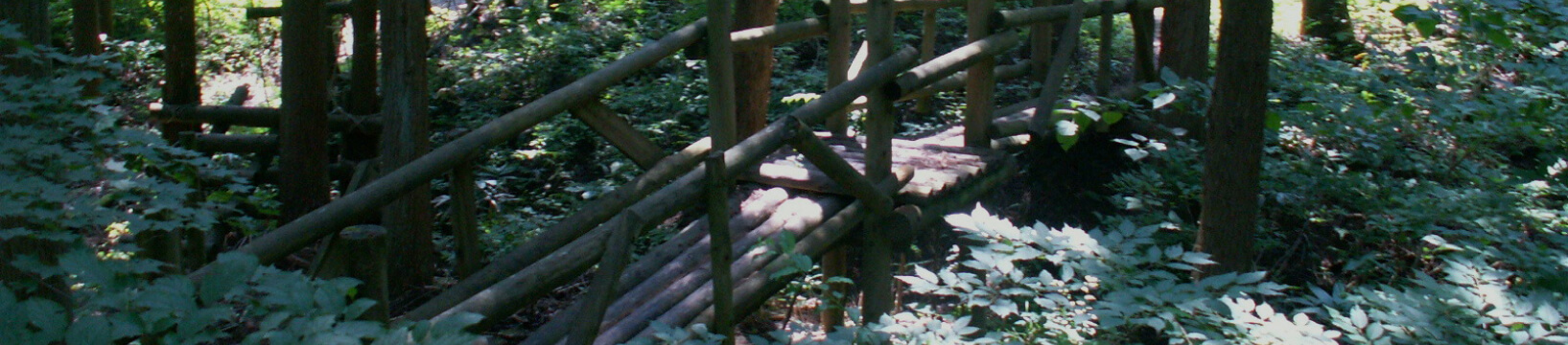 自然の中で感性を豊かにする体験を