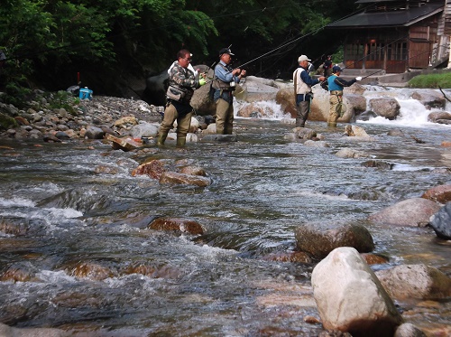 特集／おすすめ